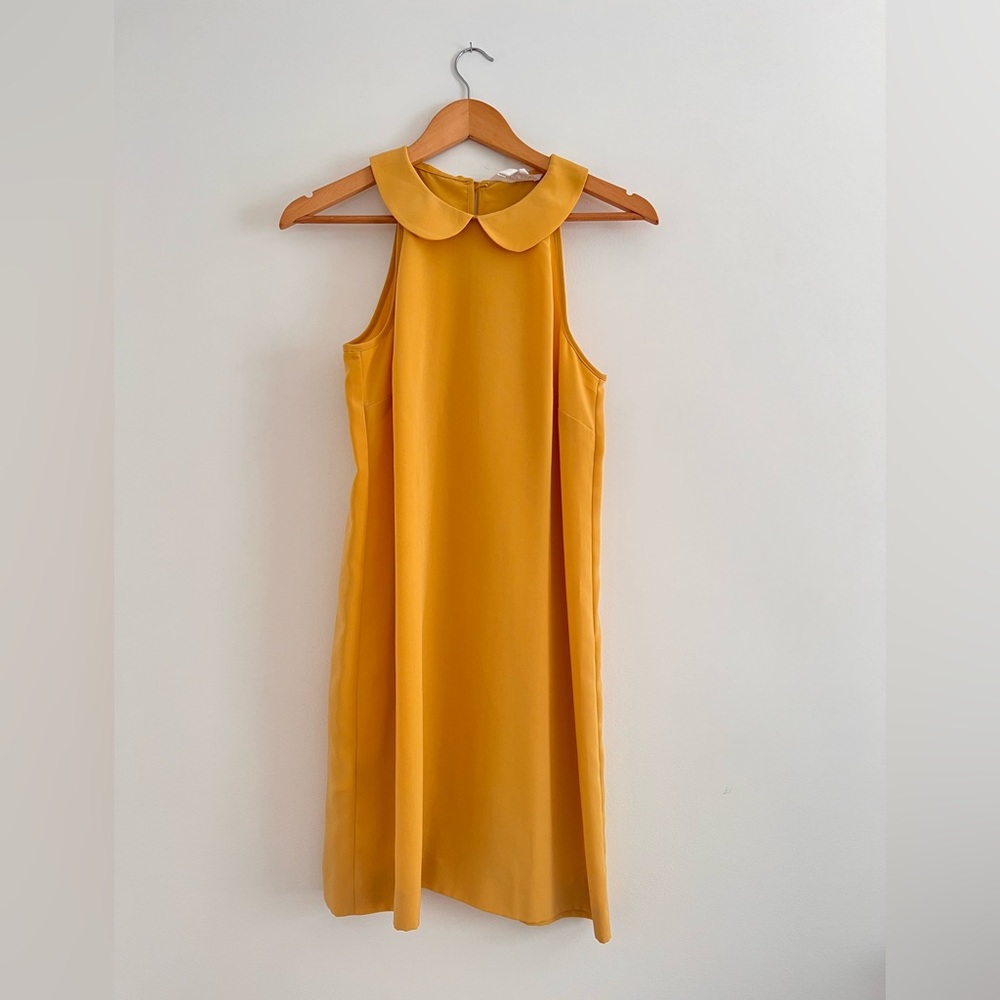 Peter Pan collar BCBG mini dress